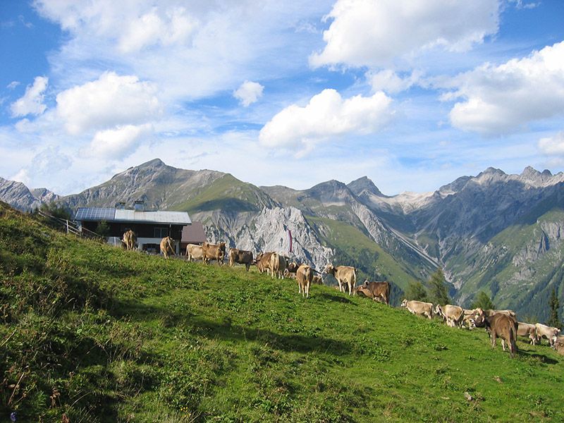 Landhaus Sonneck St. Anton am Arlberg, Schnann, Pettneu, Tirol, Sommer, Wandern, Radfahren